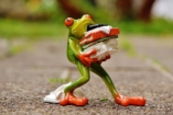 Nincs többé meghatalmazás írás