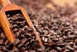 Mindennapi kenyerünk: a koffein