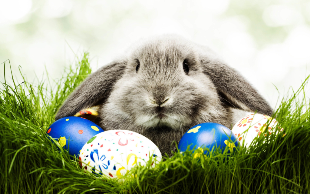 Frohe ostern bilder für whatsapp
