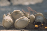 VIDEÓ: Szíria...ha visszaforgathatnánk az idő kerekét...