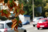Ez az ártalom akár 23 hónappal is megrövidítheti a most született gyerekek életét