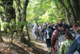 Az édesapákért kelnek útra idén az 1Úton Nemzetközi Zarándoknapon